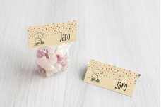 Olifantje met aardbeitjes Olifantje met aardbeitjes